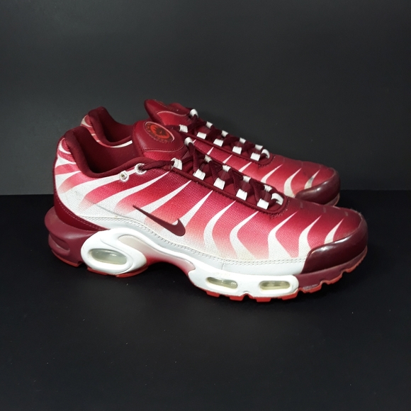 air max plus after the bite